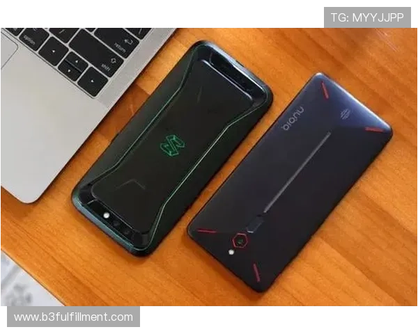 尊龙z6游戏机的环境适应性与使用场景分析，满足不同场所的游戏需求