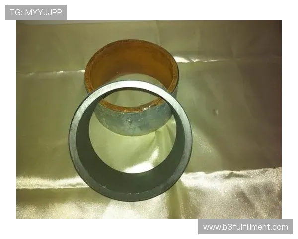 尊龙凯时登陆入口的注册流程与账号安全保护措施,帮助新手玩家快速上手